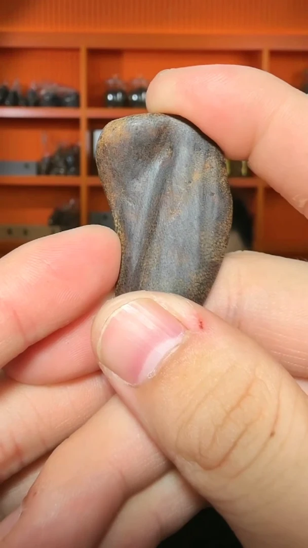 沉香吊坠478号沉水原母树小包头多样性发一
