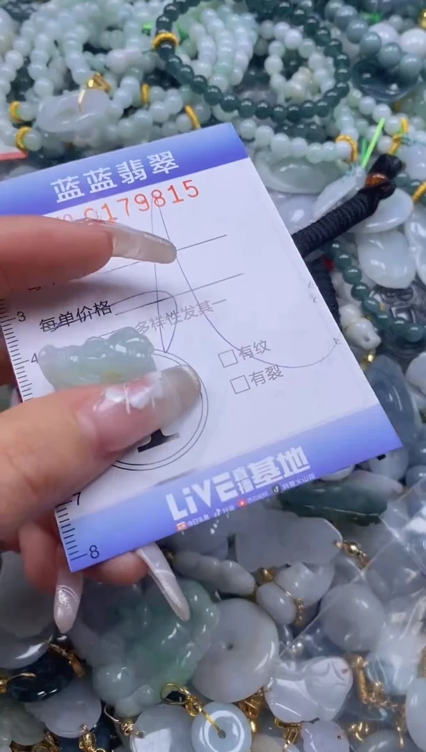 【闪购商品】翡翠颈饰未镶嵌闪购0179815