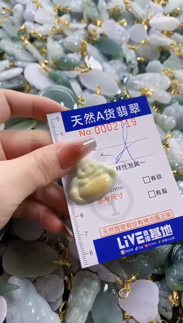 颈饰未镶嵌翡翠天然A货翡翠