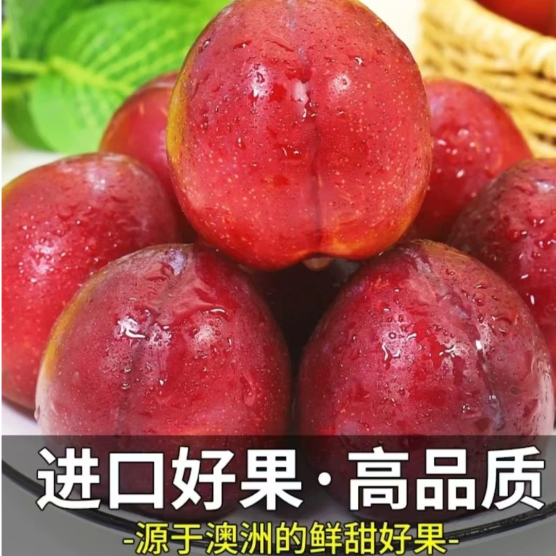 【甄选】智利樱桃李子精品果约5斤装/箱