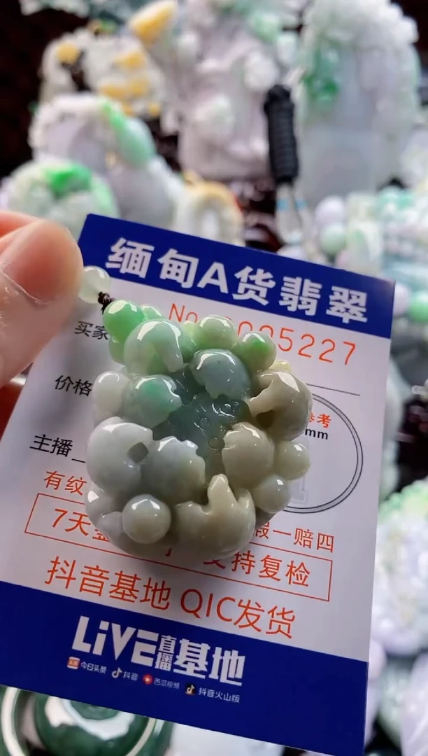 翡翠未镶嵌吊坠(不含链)1