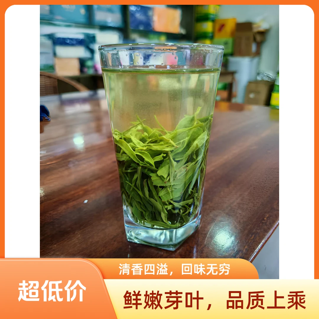 2025保康新秋茶 浓香耐泡 性价比高