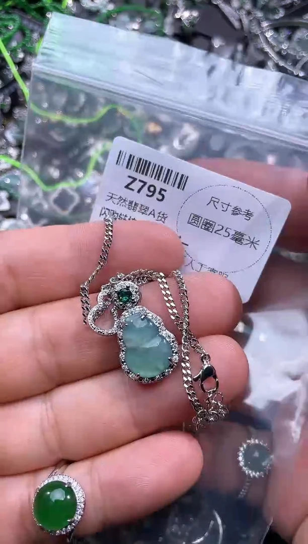 【闪购商品】翡翠颈饰未镶嵌Z795项链