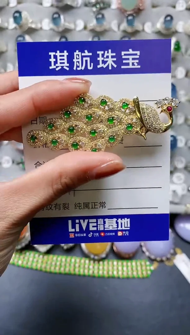 【闪购商品】翡翠颈饰银S925镶嵌0479