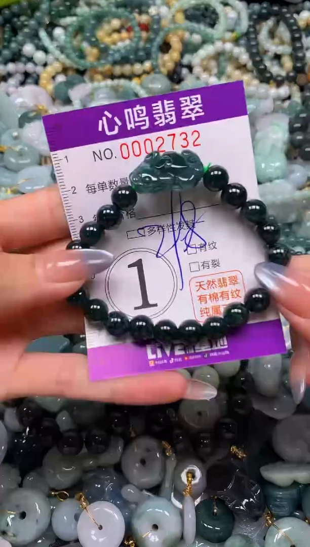 颈饰未镶嵌翡翠闪购002732