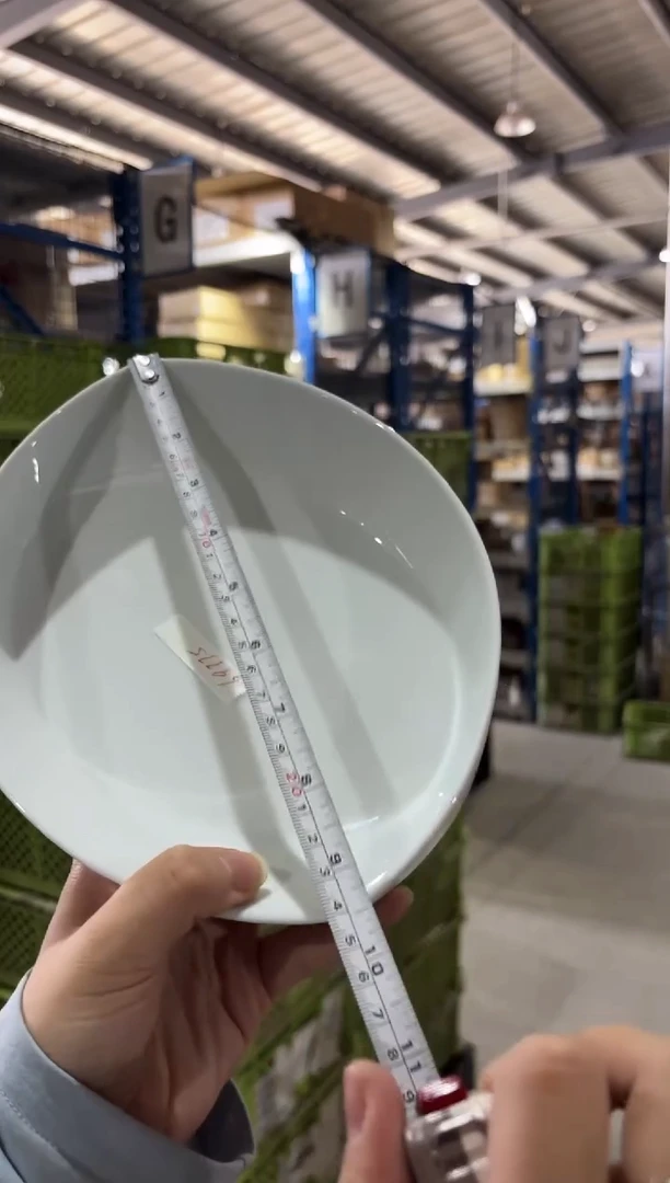 瓷（B）リ－ヴス白　パスタプレ－ト