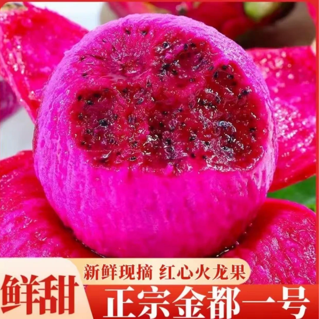 【海南红心火龙果】8颗装海南省