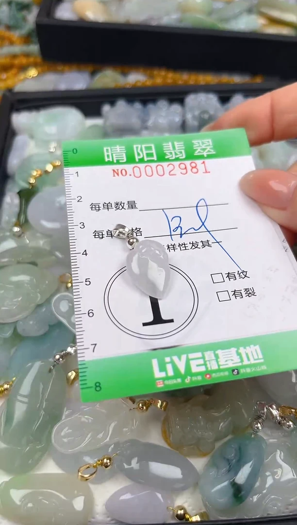 翡翠未镶嵌颈饰闪购0002981