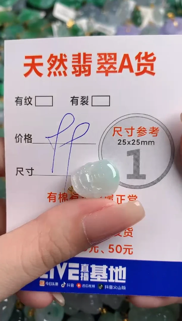 翡翠18K金镶嵌颈饰14006161