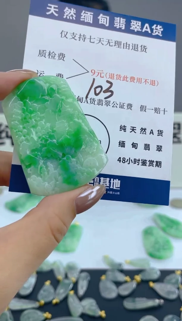 颈饰未镶嵌翡翠天然A货翡翠