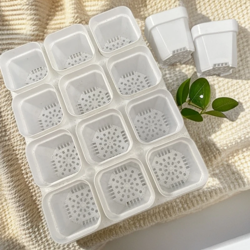 65白方盆12个含托架育苗播种繁殖塑料花盆加厚款