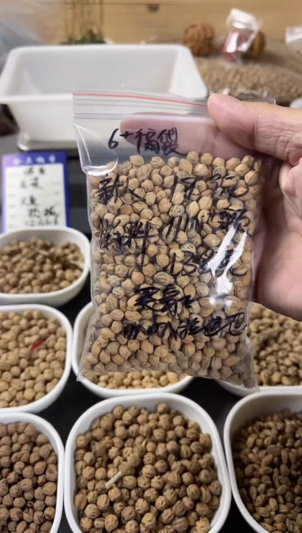 吊坠柏香籽/百香籽叭***巴合上柏香散籽叭叭拉巴巴