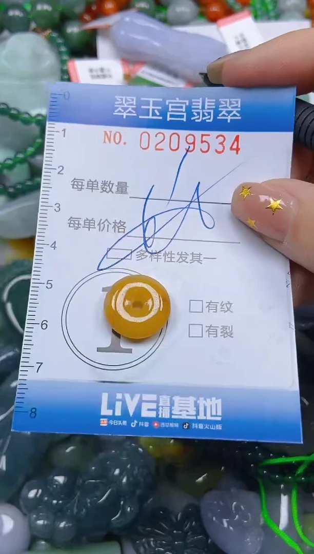 颈饰未镶嵌翡翠闪购C0209534多样性发其一