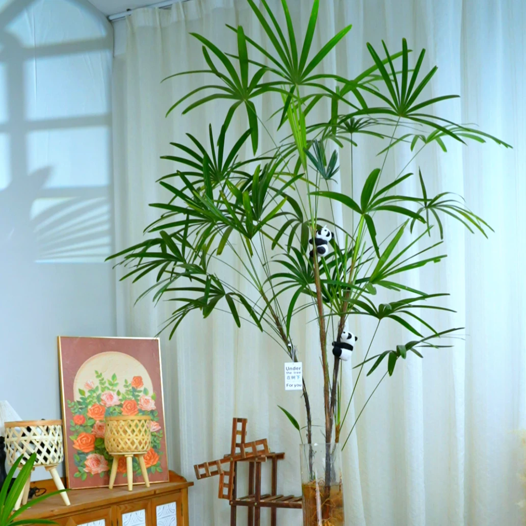 【送货上门】【1.8-2米】金山棕室内盆栽办公室植物阳台绿植盆栽