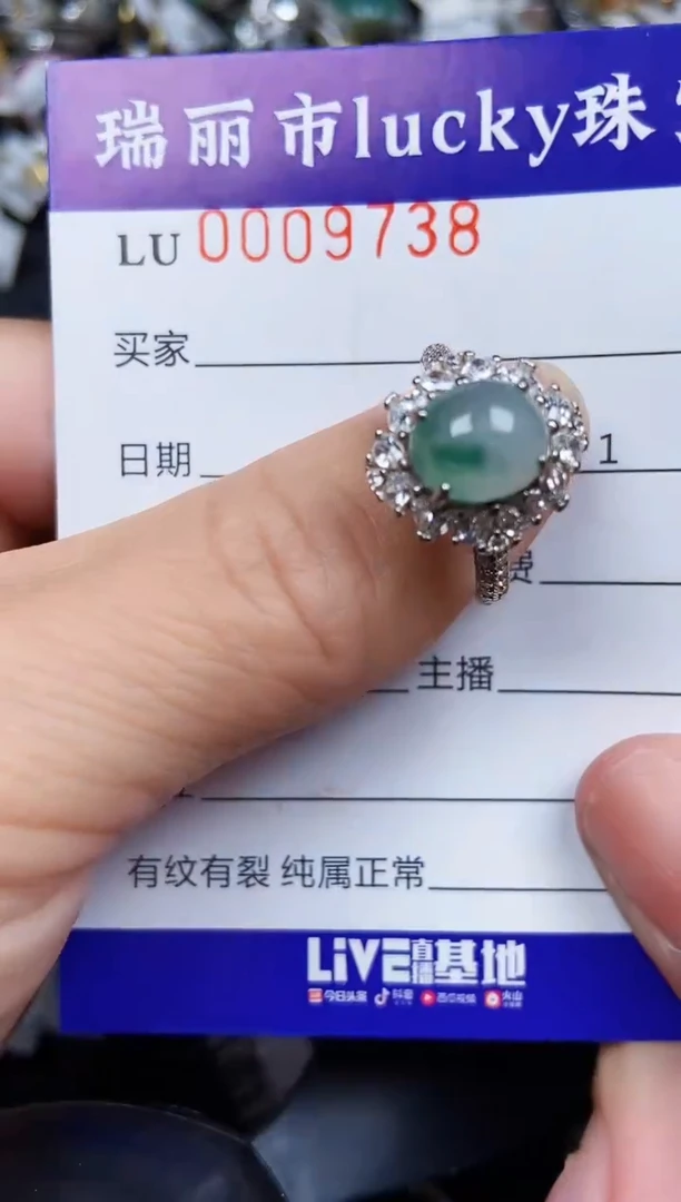 翡翠银S925镶嵌颈饰9738