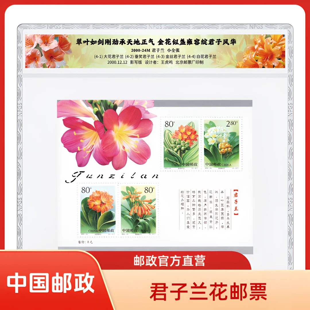 中国邮政官方2000-24M君子兰(小全张)