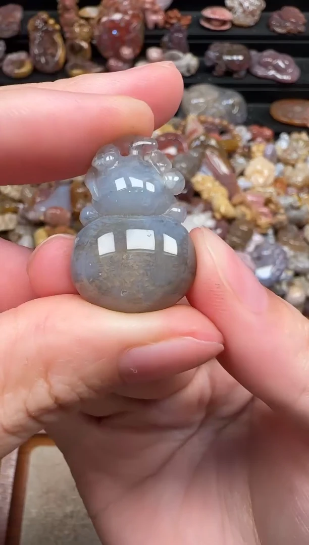 颈饰未镶嵌硅化珊瑚（珊瑚玉）264