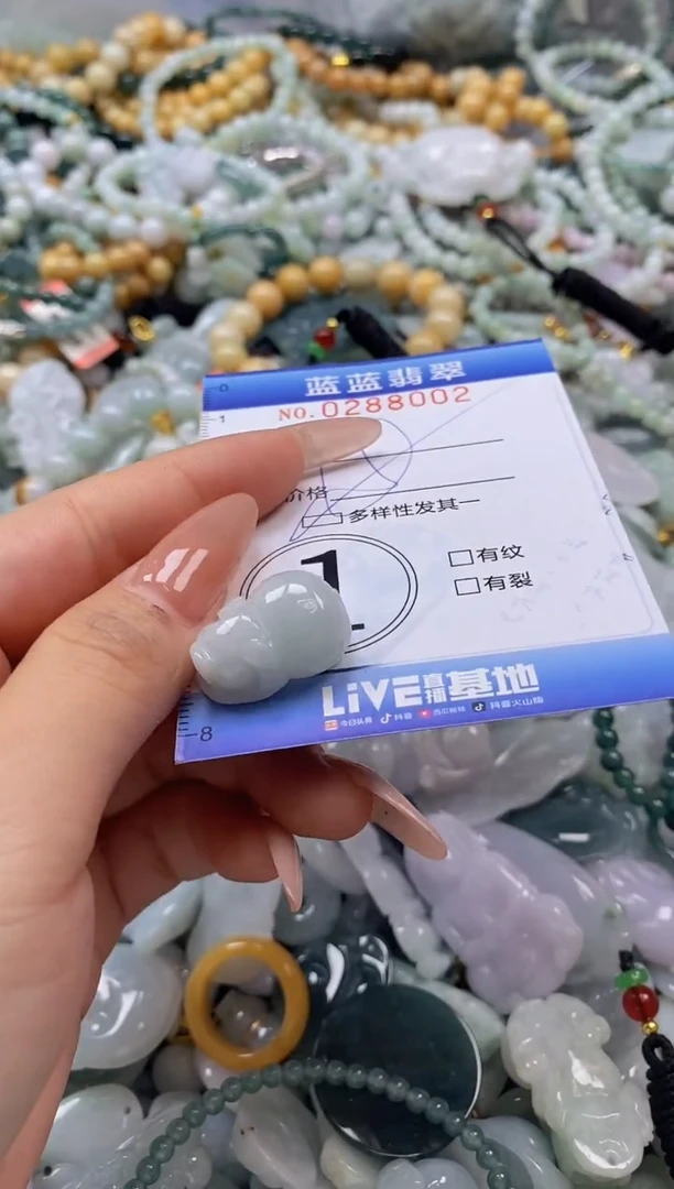 翡翠未镶嵌颈饰闪购0288001