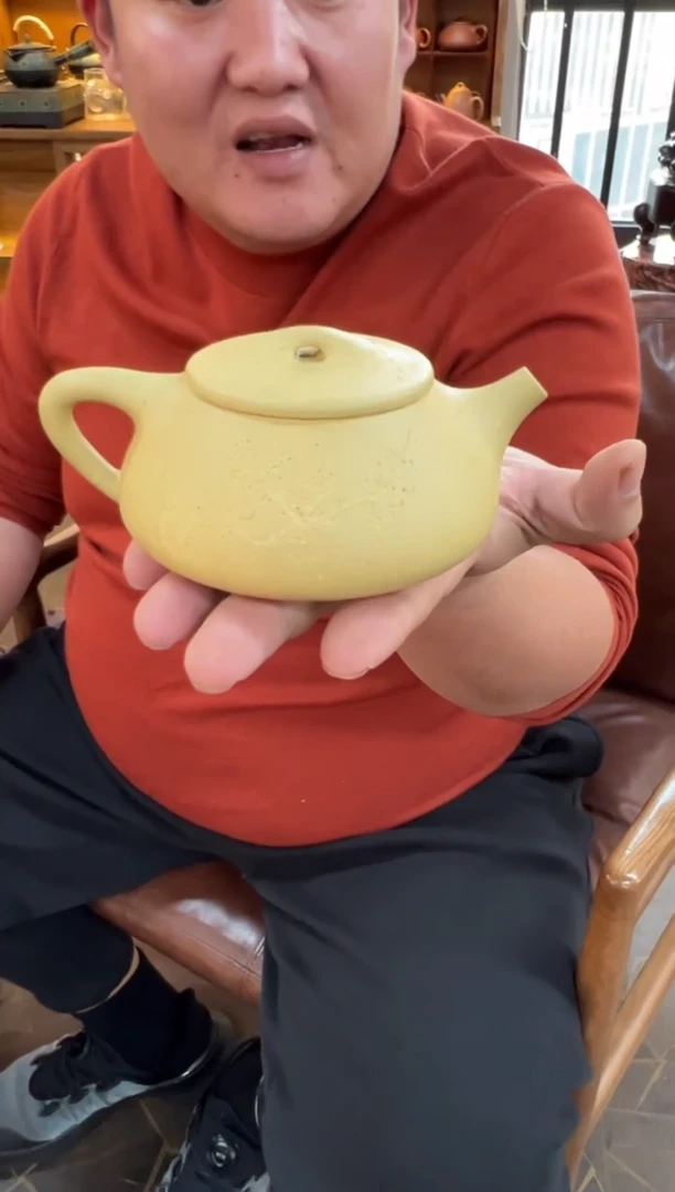 【闪购商品】紫砂茶壶【头哥手工壶】景舟石瓢本绿梅花