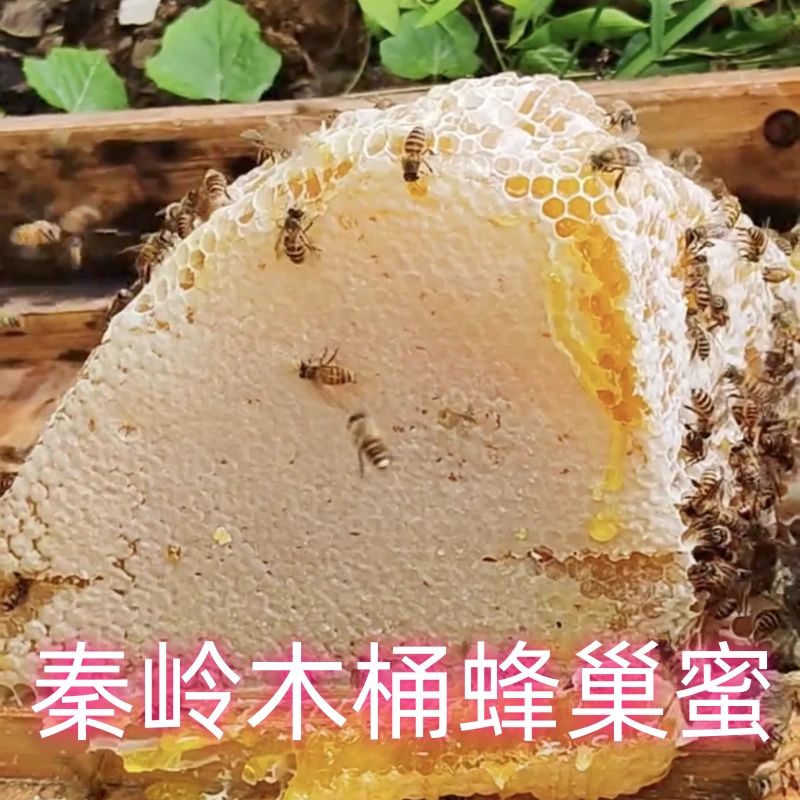 【偏新巢口感香甜】秦岭正宗农家木桶蜂巢蜜天然纯正百花蜜纯原蜜