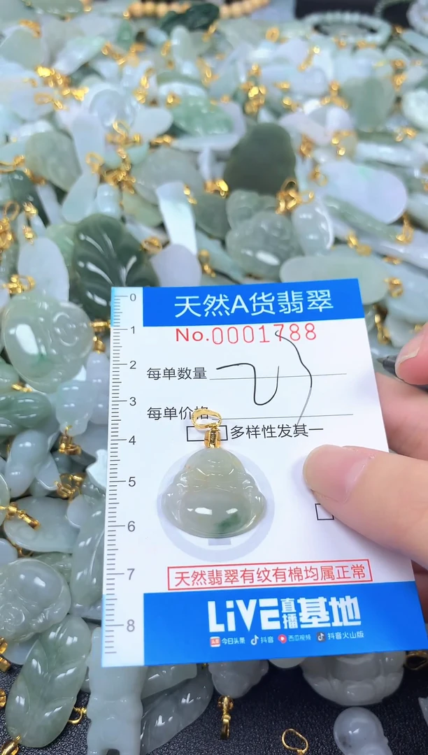 颈饰未镶嵌翡翠净货挂件-1788