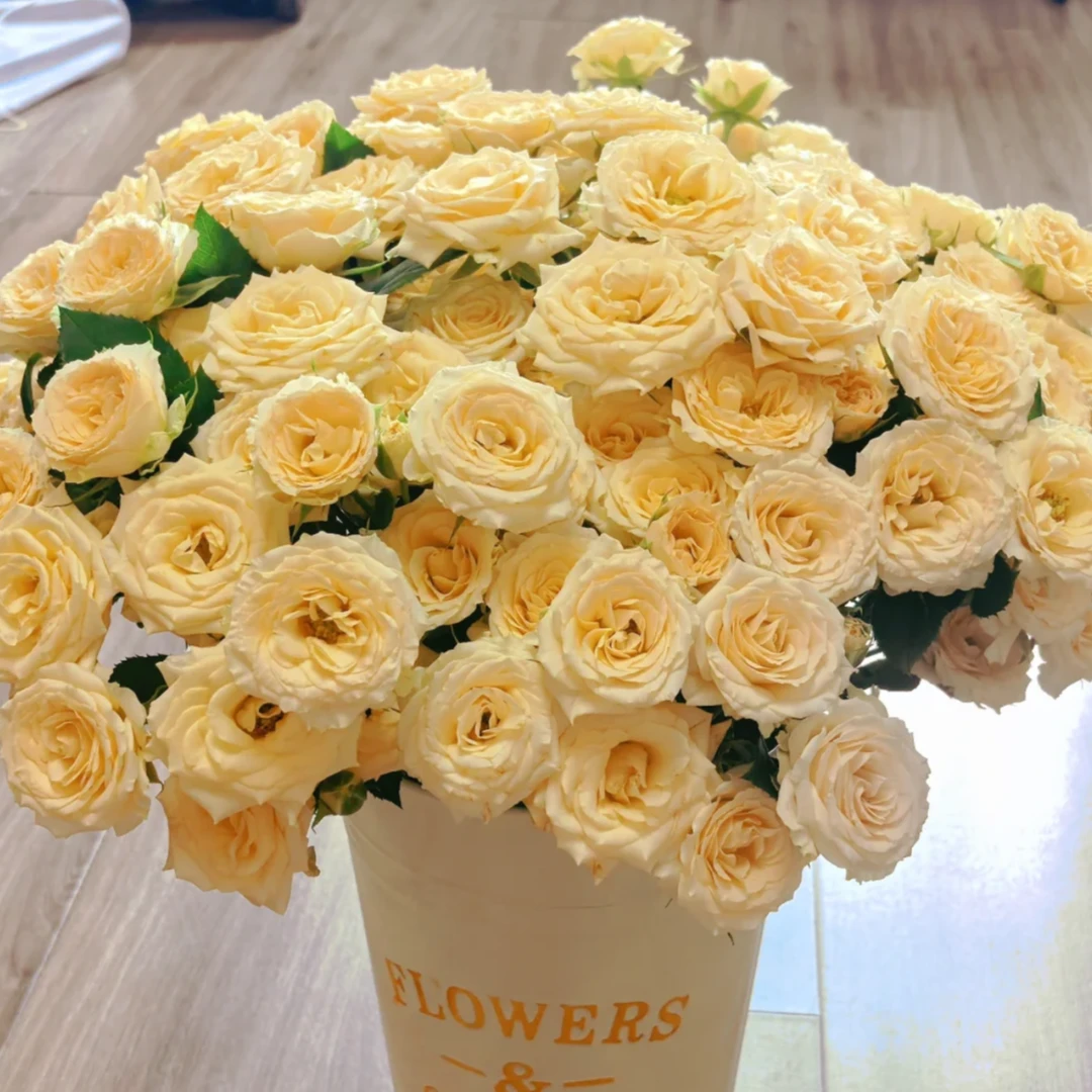 【源头优选-表妹】和风多头玫瑰 任意满2单鲜花包邮升级快递