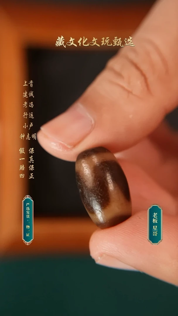未镶嵌颈饰玛瑙/玉髓曲贡牙黄牙牙19.3*11.9