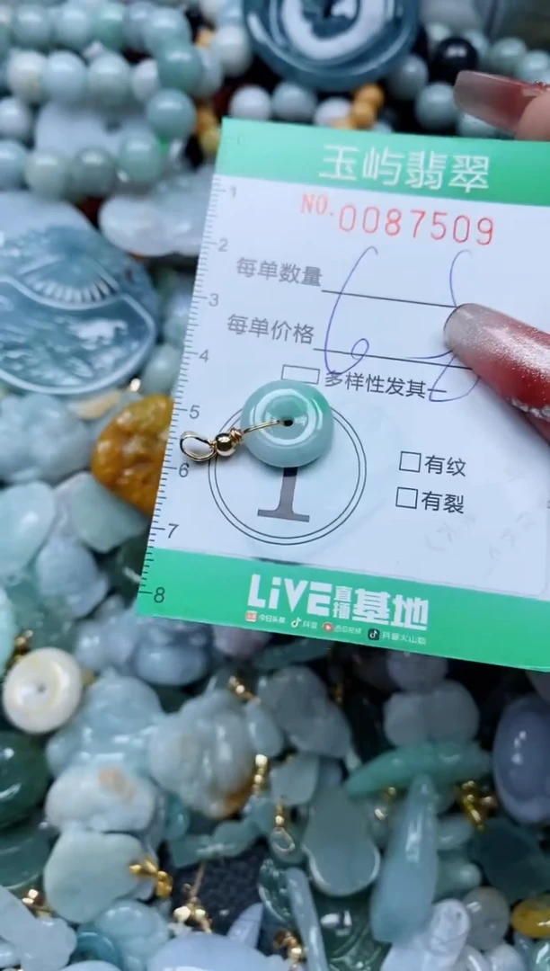 【闪购商品】翡翠颈饰未镶嵌闪购0087509