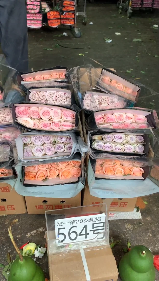564号♥含20%耗损发一箱
