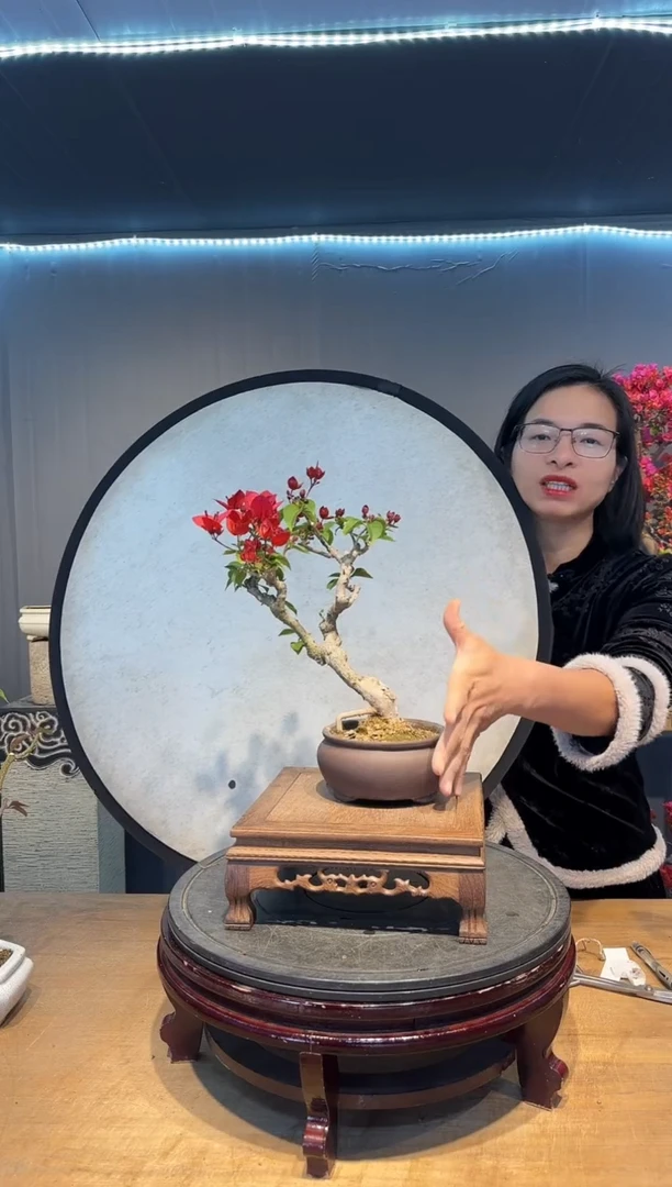 【闪购商品】静待   中国红