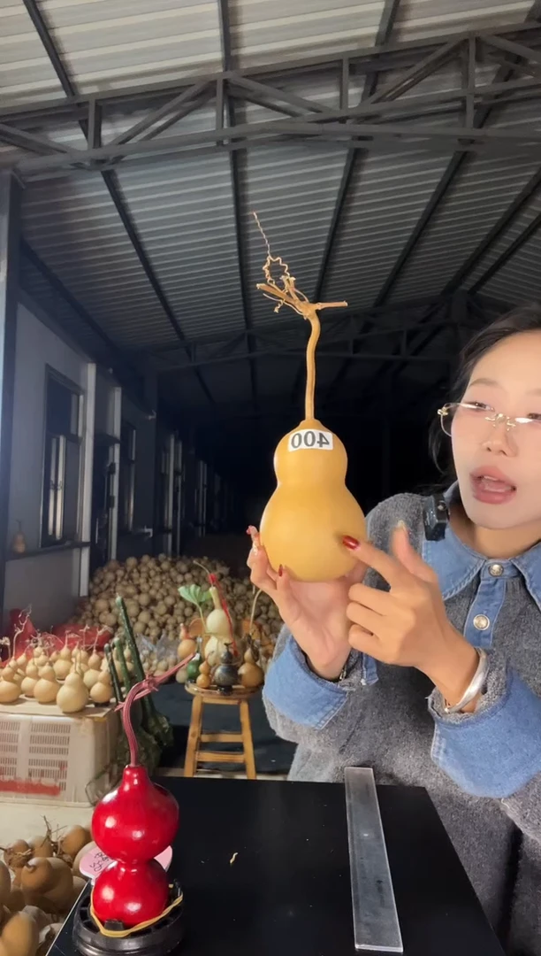 400天然葫芦摆件 一物一拍龙头不保售后