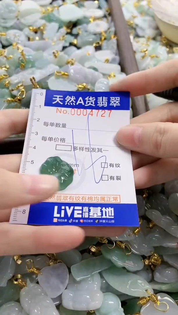 颈饰未镶嵌翡翠天然A货翡翠