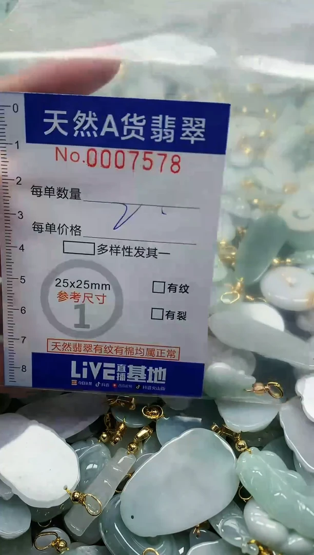 颈饰未镶嵌翡翠纯天然A货翡翠