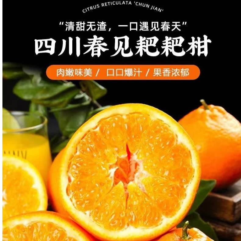四川正宗耙耙柑头茬现摘现发新鲜水果孕妇薄皮