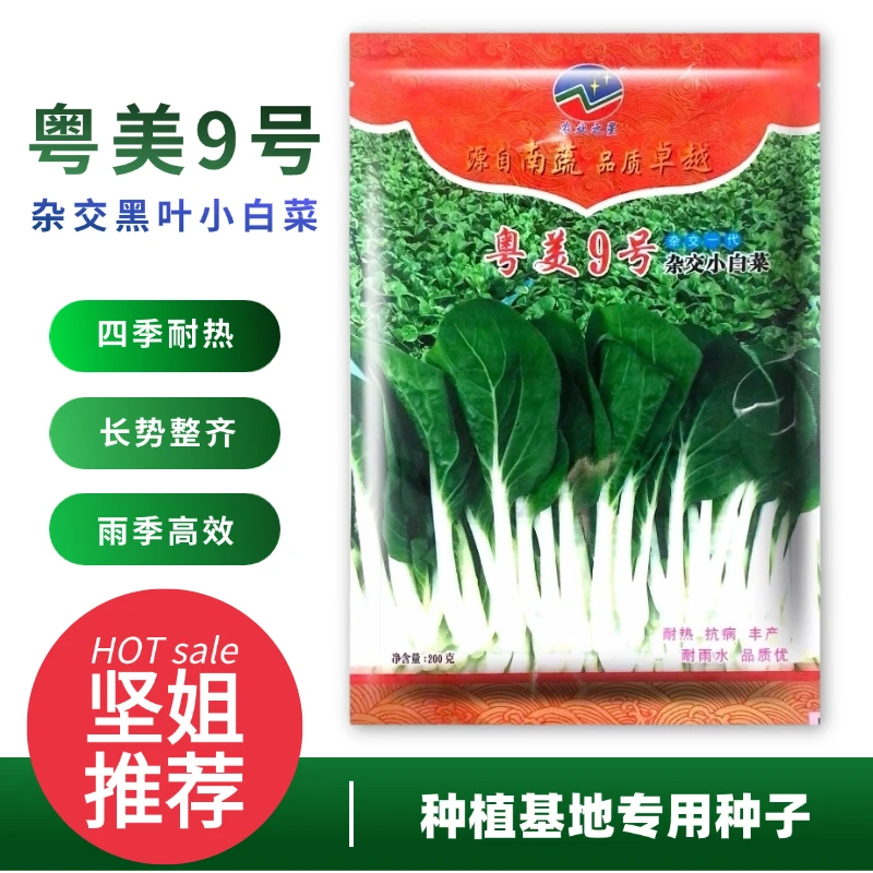 30克原装粤美9号杂交黑叶小白菜种子种菜的坚姐推荐高产白菜籽