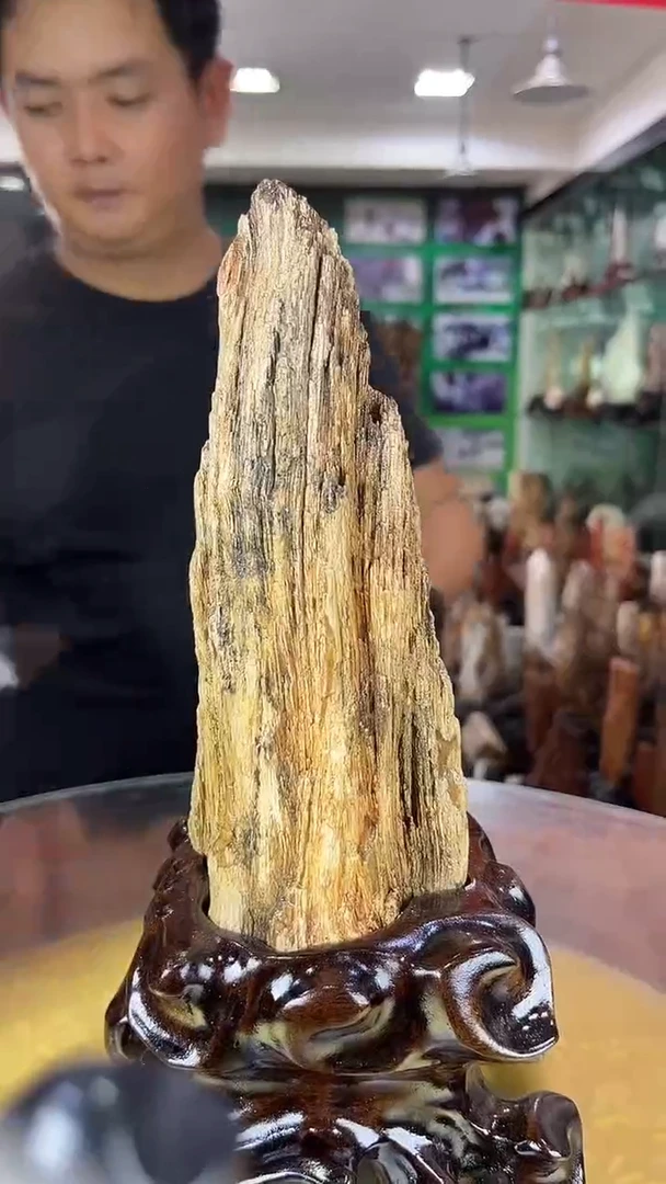 缅甸天然树化玉摆件