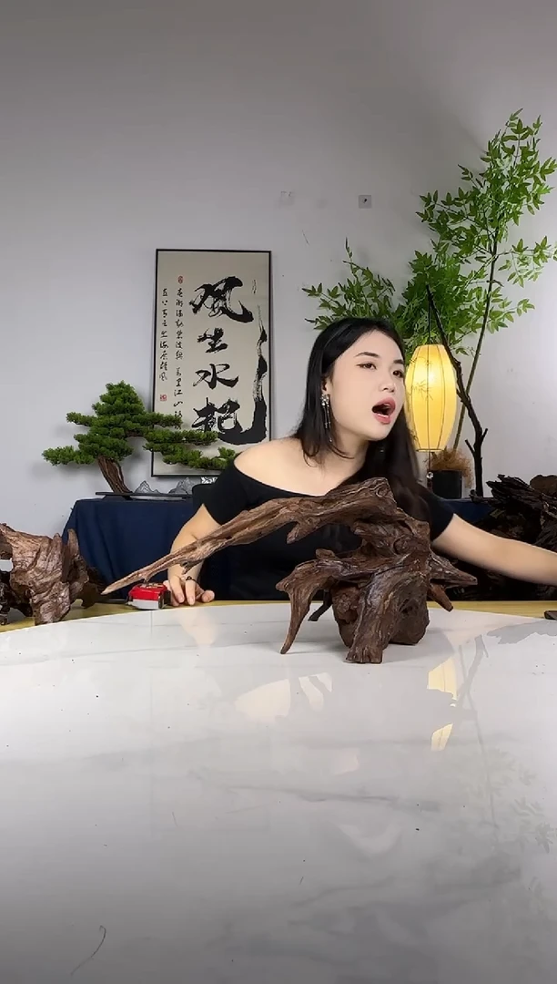 遥*拍这个定向编号59