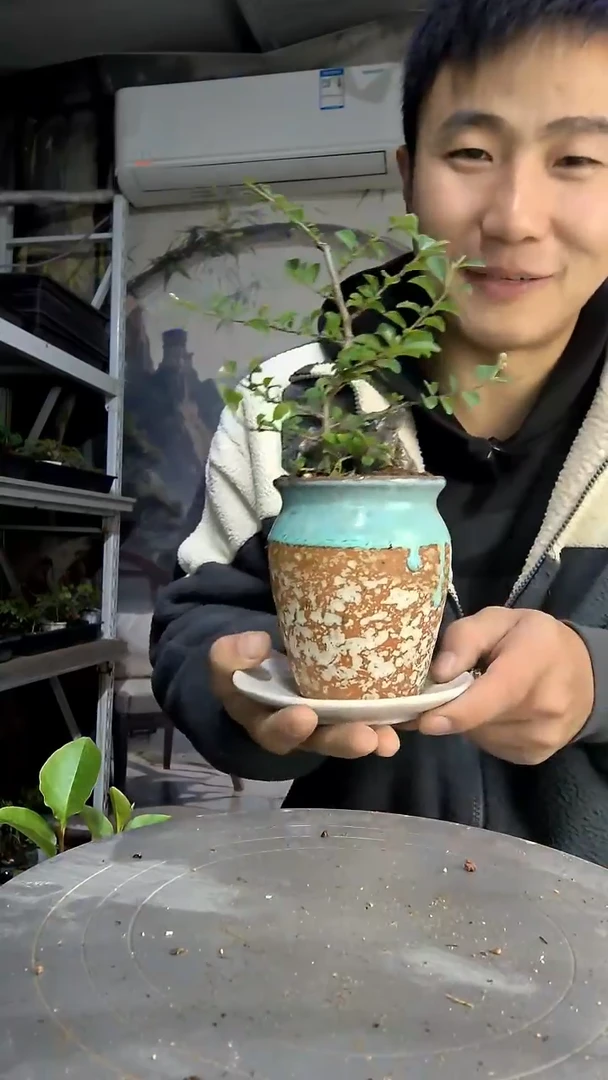 一**四中青园艺一物一拍476