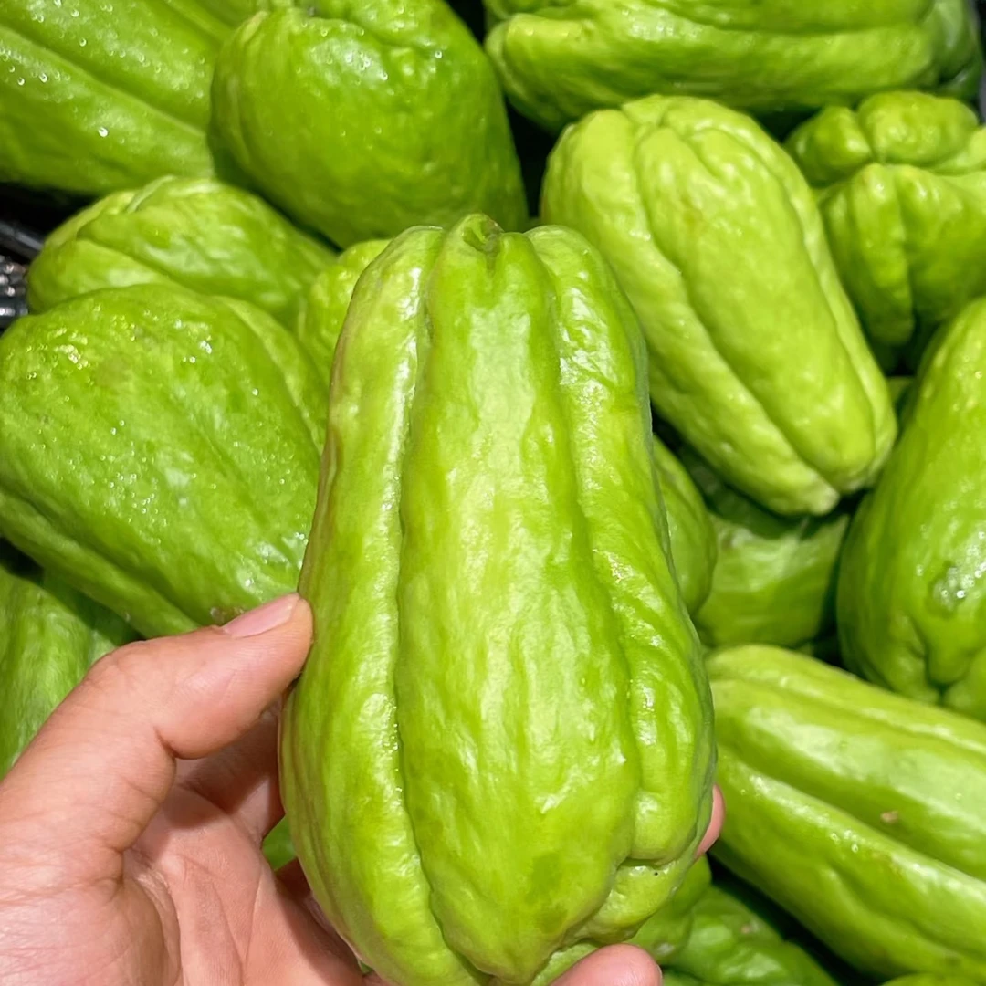 云南现摘现发佛手瓜农家自种洋瓜清香脆甜