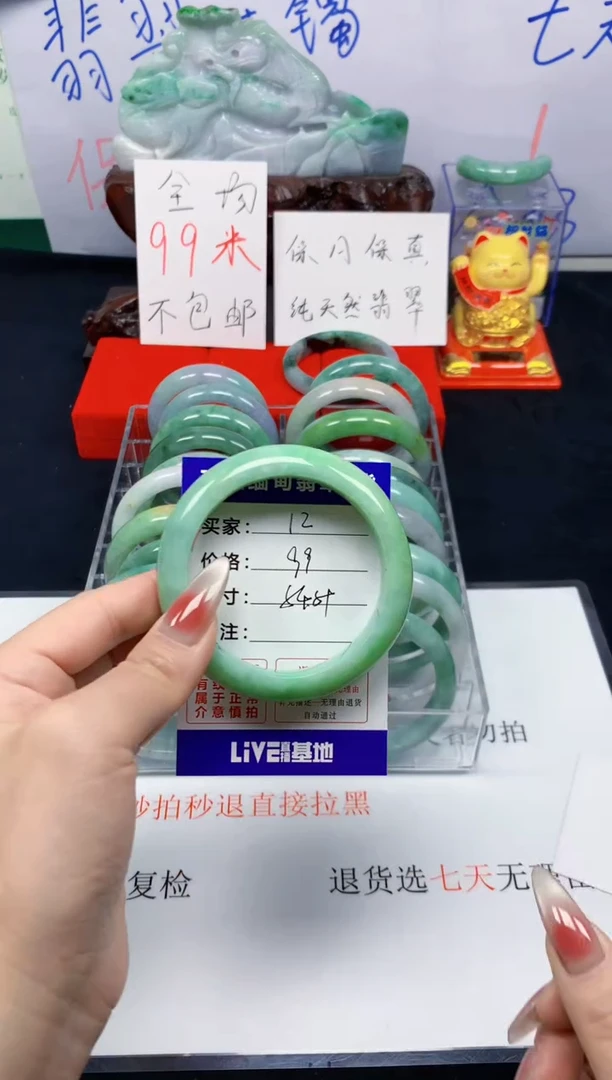 未镶嵌手镯翡翠12