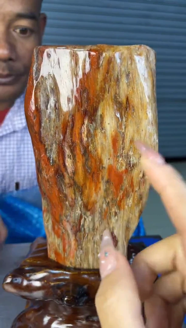 未镶嵌摆件硅化玉1