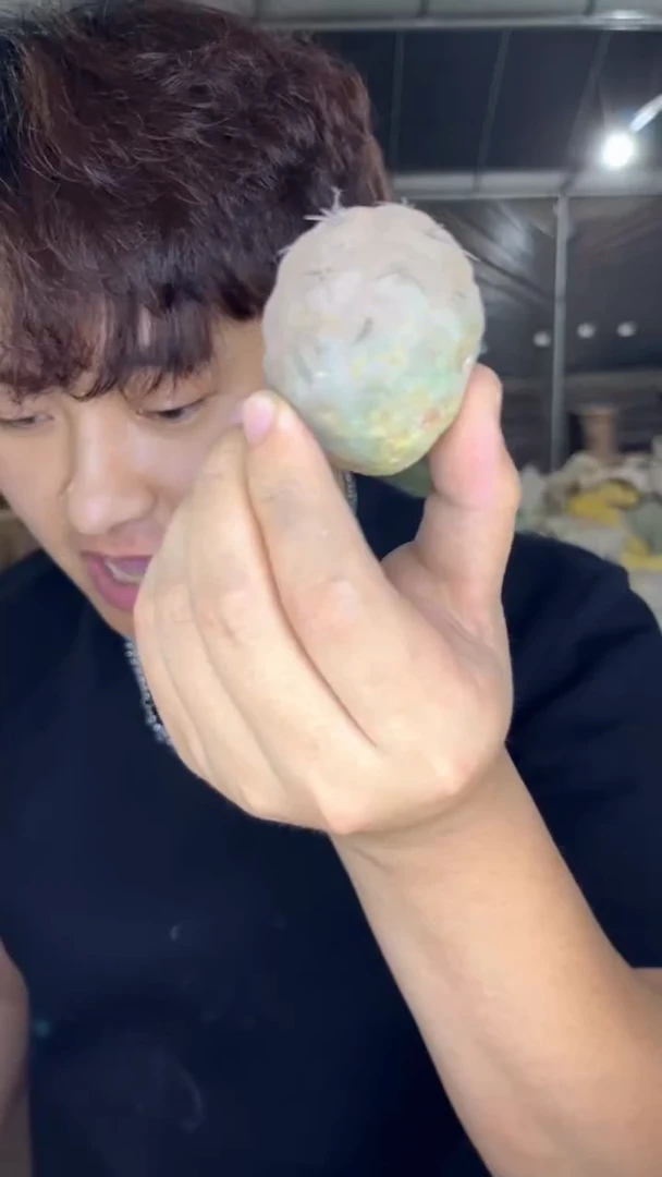 2颗 习志野【无根】2-4cm