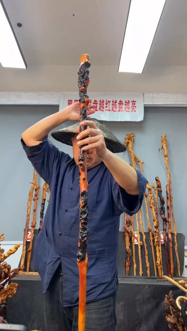 【闪购商品】黑果木其他黑果木032