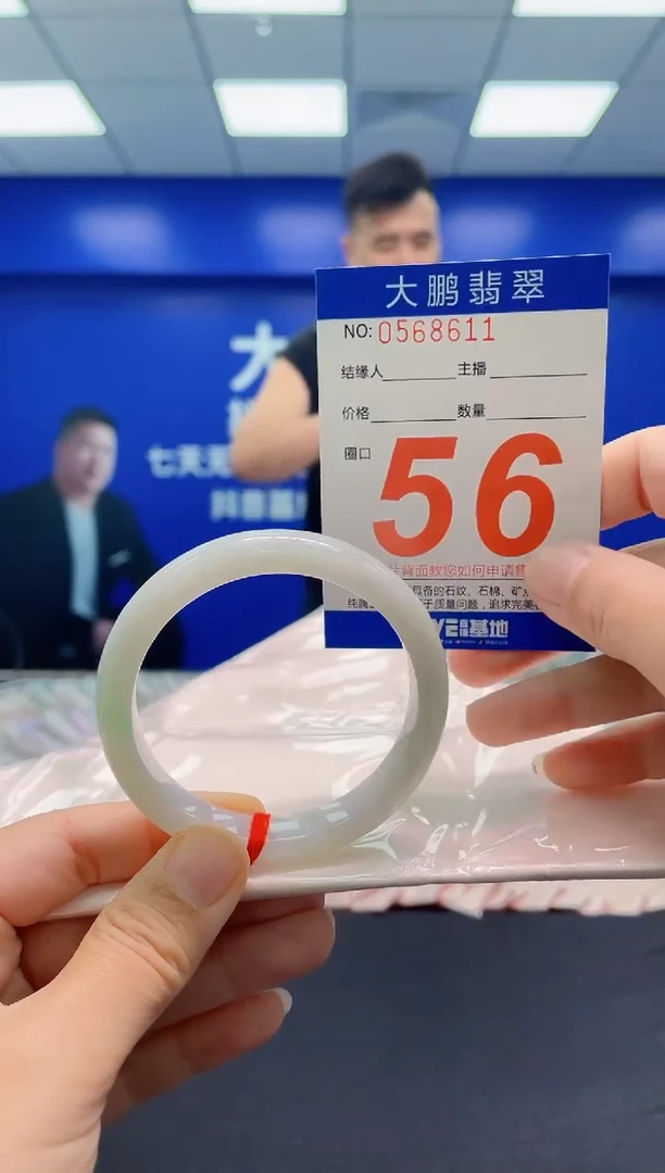 未镶嵌手镯翡翠AAAAAAAAA