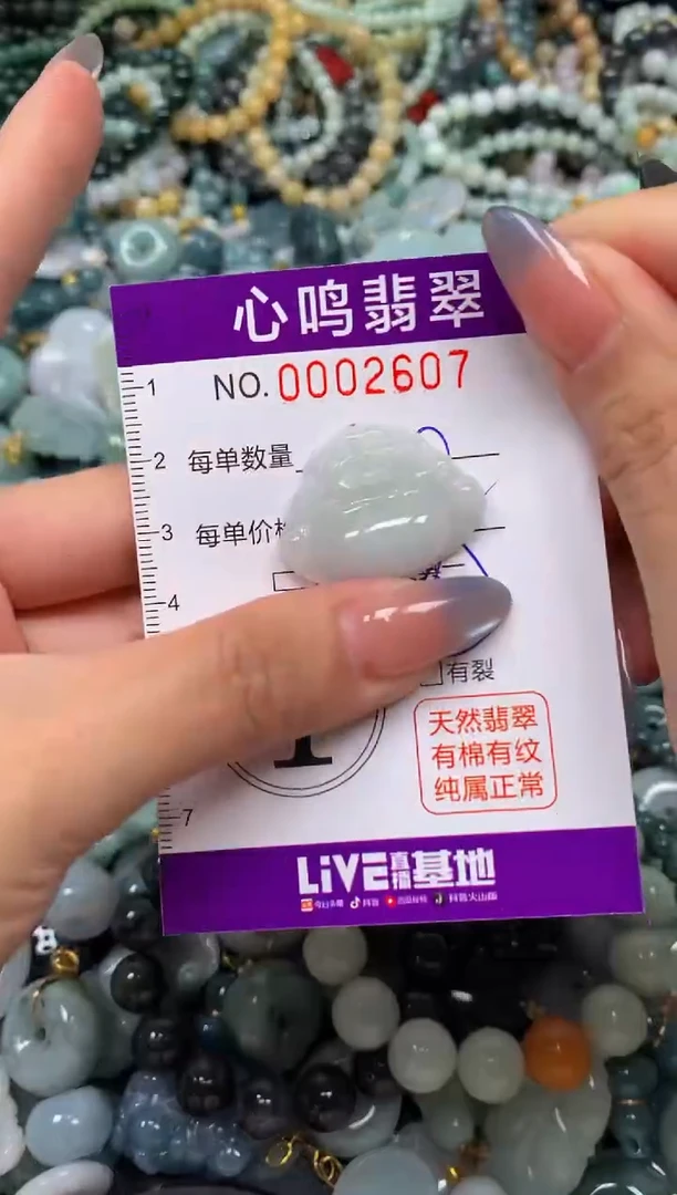 颈饰未镶嵌翡翠闪购002607
