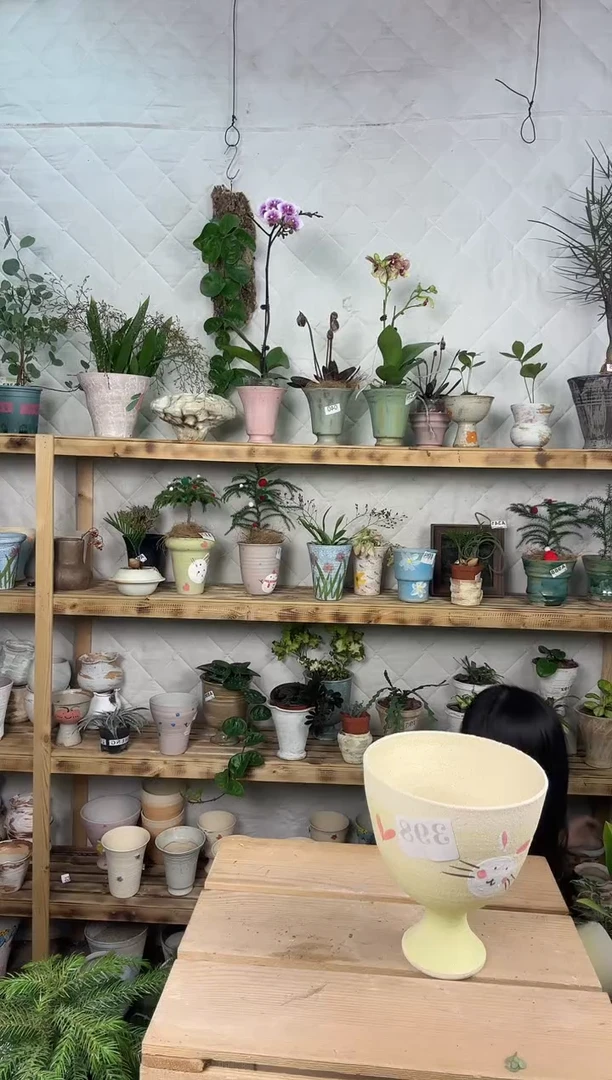 无花朵398编号  景德镇手工花盆