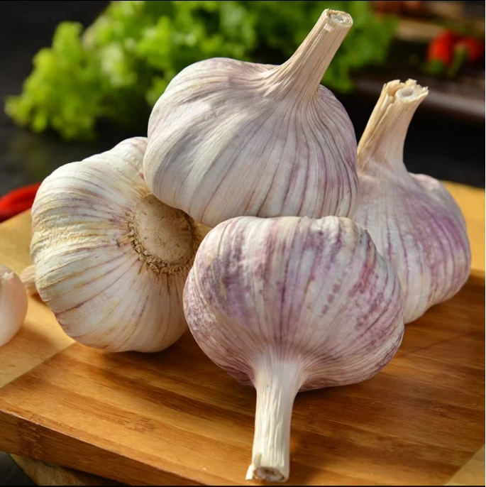 大蒜头干蒜5斤河南本地正宗杞县紫皮大蒜农家种籽新鲜干大蒜干蒜