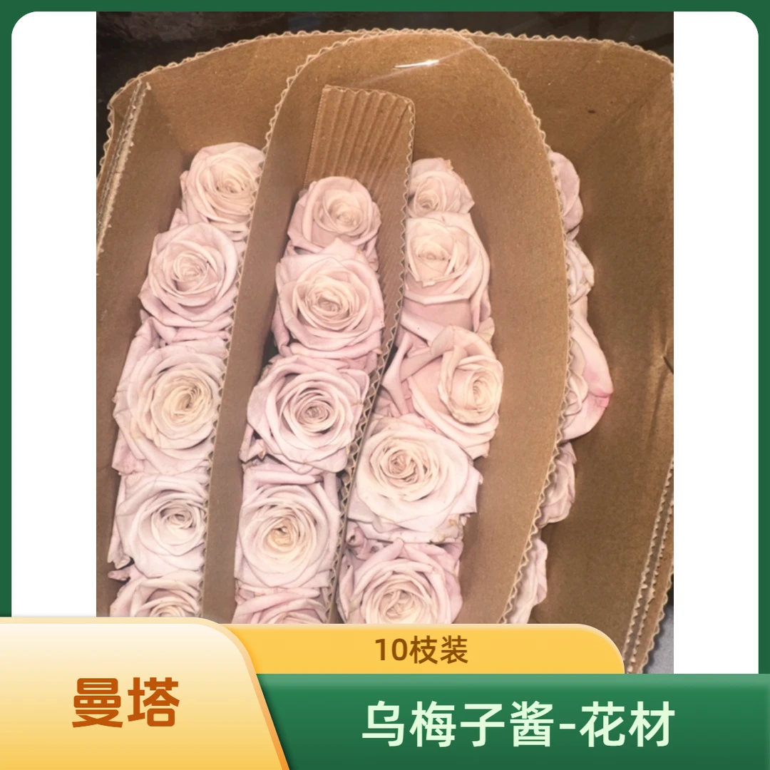 曼塔灰粉色系玫瑰云南基地直发