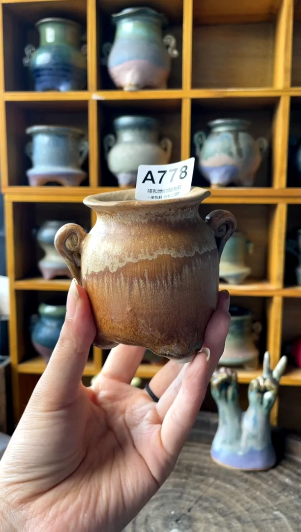 帆*778【多肉花盆多肉盆】