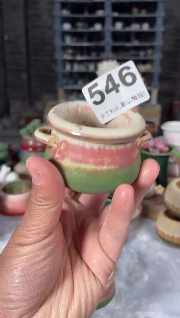瓷片546小芳直播编号